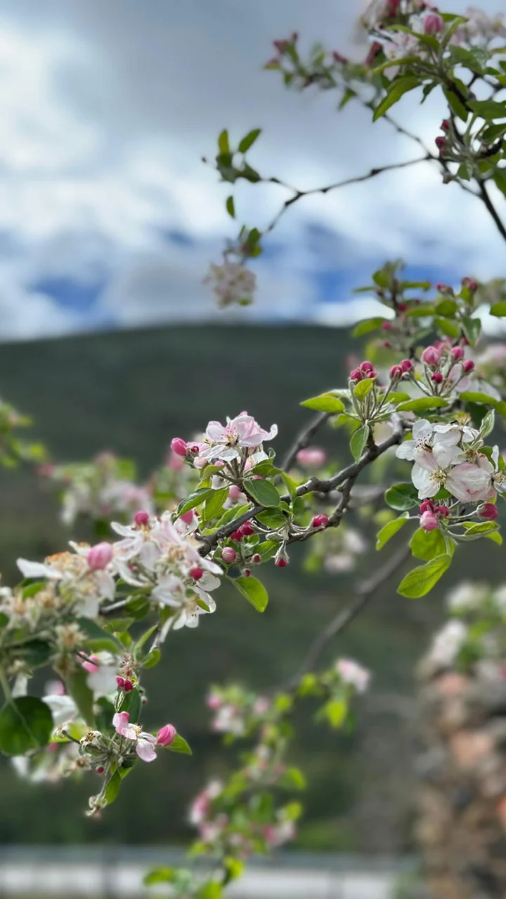 Paisagem do Douro Internacional em Freixo de Espada à Cinta